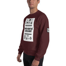 Load image into Gallery viewer, Unisex introverted extrovert borderless Sweatshirt
